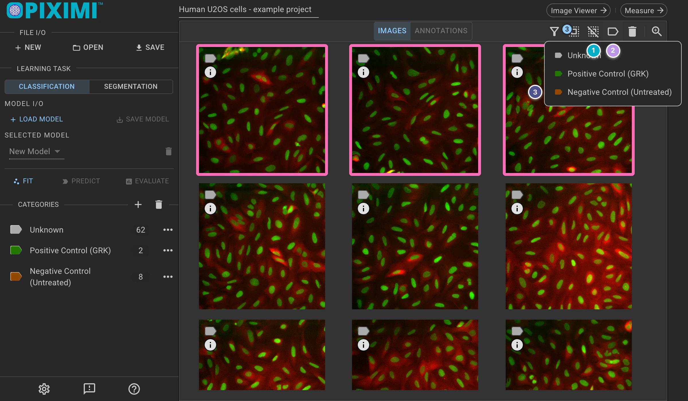 ../../_images/eukaryotic-classification-dark-categorize.webp
