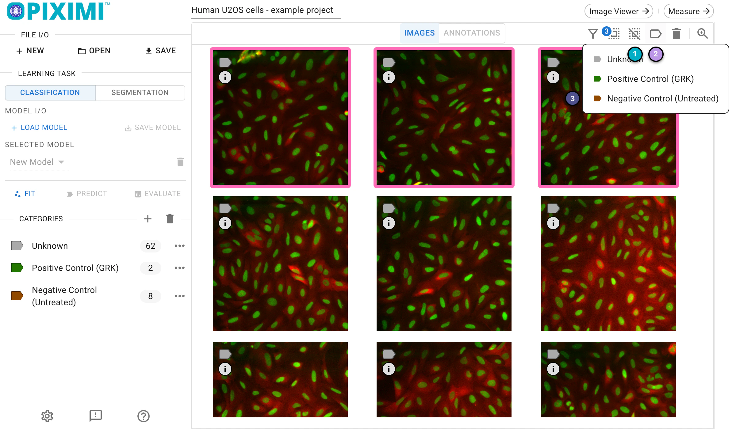 ../../_images/eukaryotic-classification-light-categorize.webp