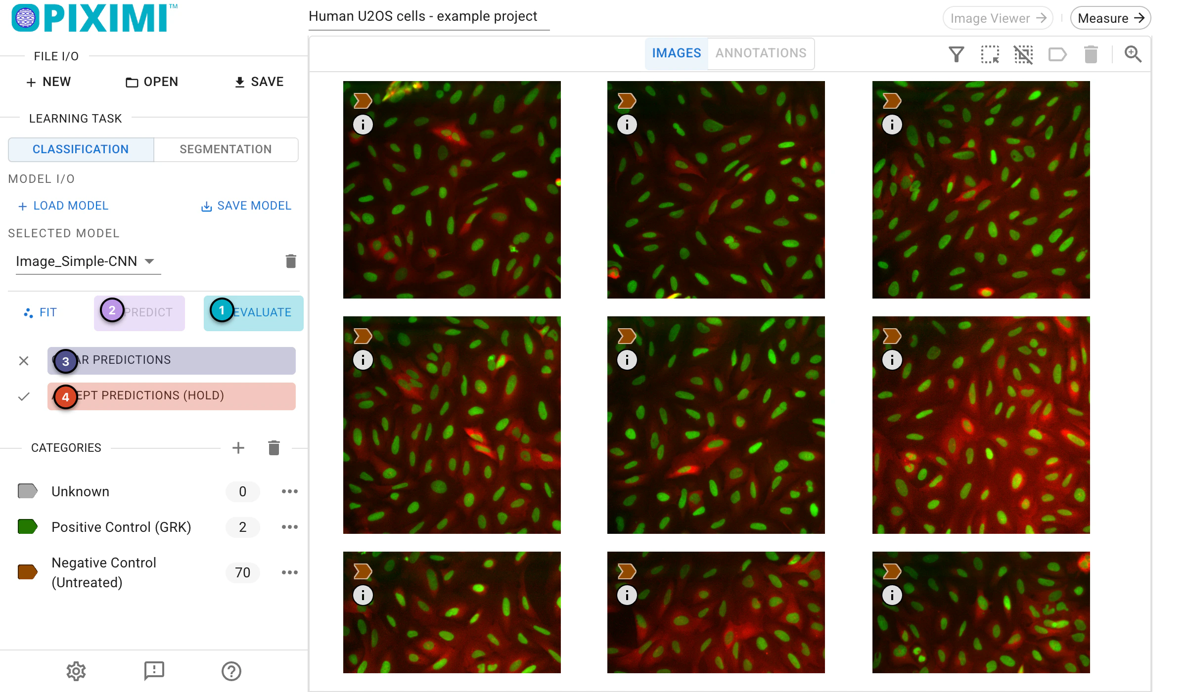 ../../_images/eukaryotic-classification-light-predict.webp