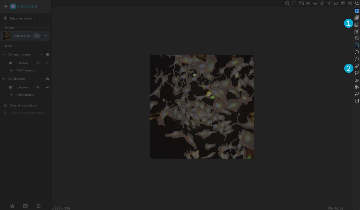 ../../_images/image-viewer-dark-annotationtools.webp