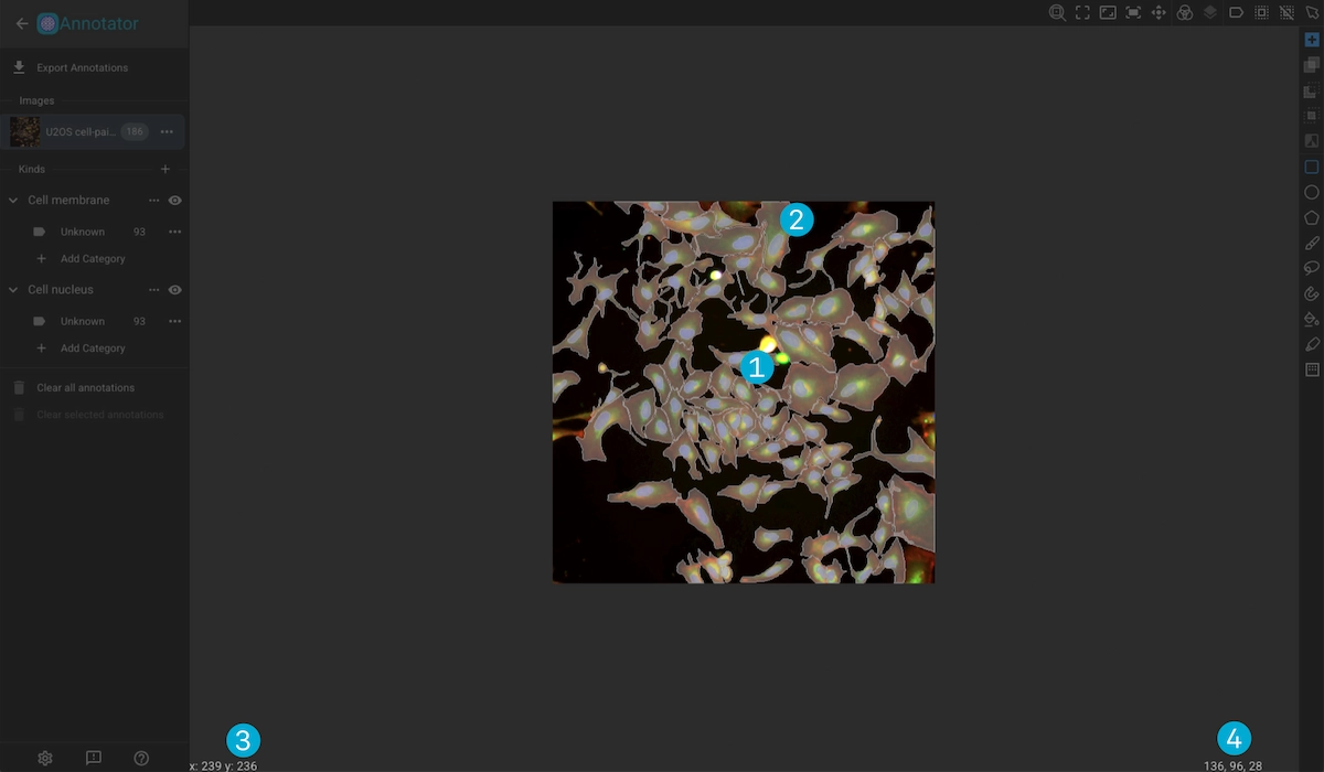 ../../_images/image-viewer-dark-canvas.webp