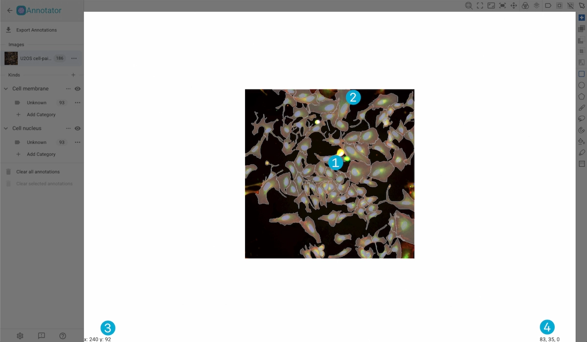 ../../_images/image-viewer-light-canvas.webp