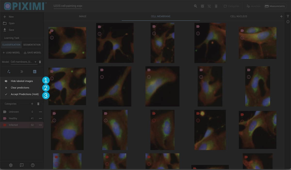 ../../_images/predict-options-dark.webp