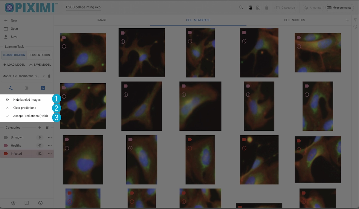 ../../_images/predict-options-light.webp