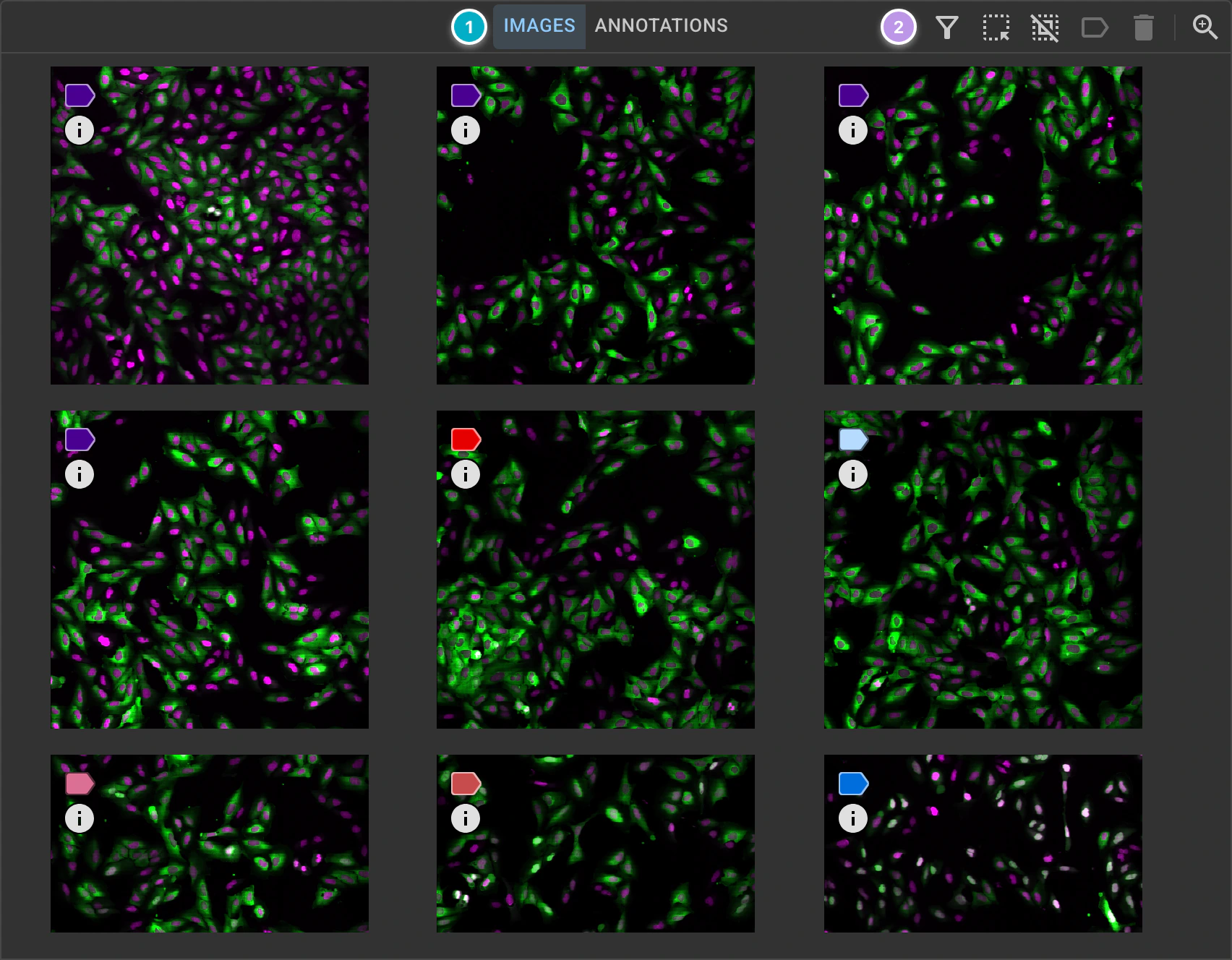 ../../_images/project-viewer-dark-maingrid-images.webp