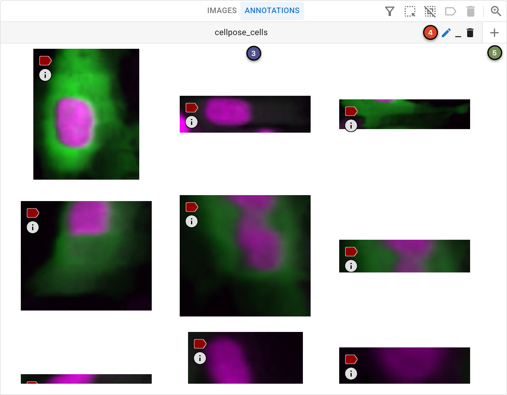 ../../_images/project-viewer-light-maingrid-annotations.webp
