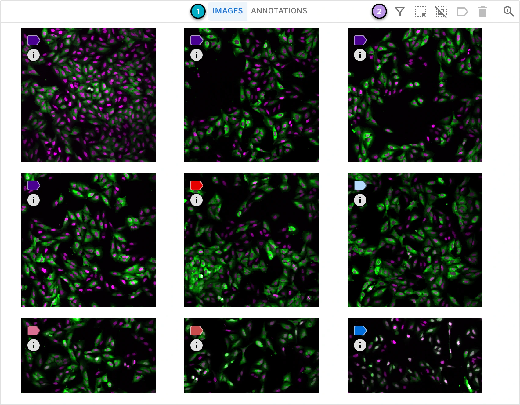 ../../_images/project-viewer-light-maingrid-images.webp