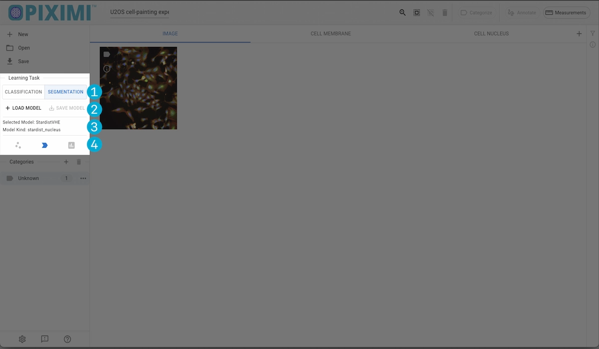 ../../_images/segmentation-section-light.webp