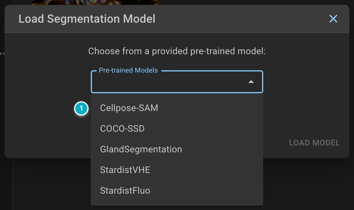 ../../_images/segmentation-tutorial-dark-model-list.webp