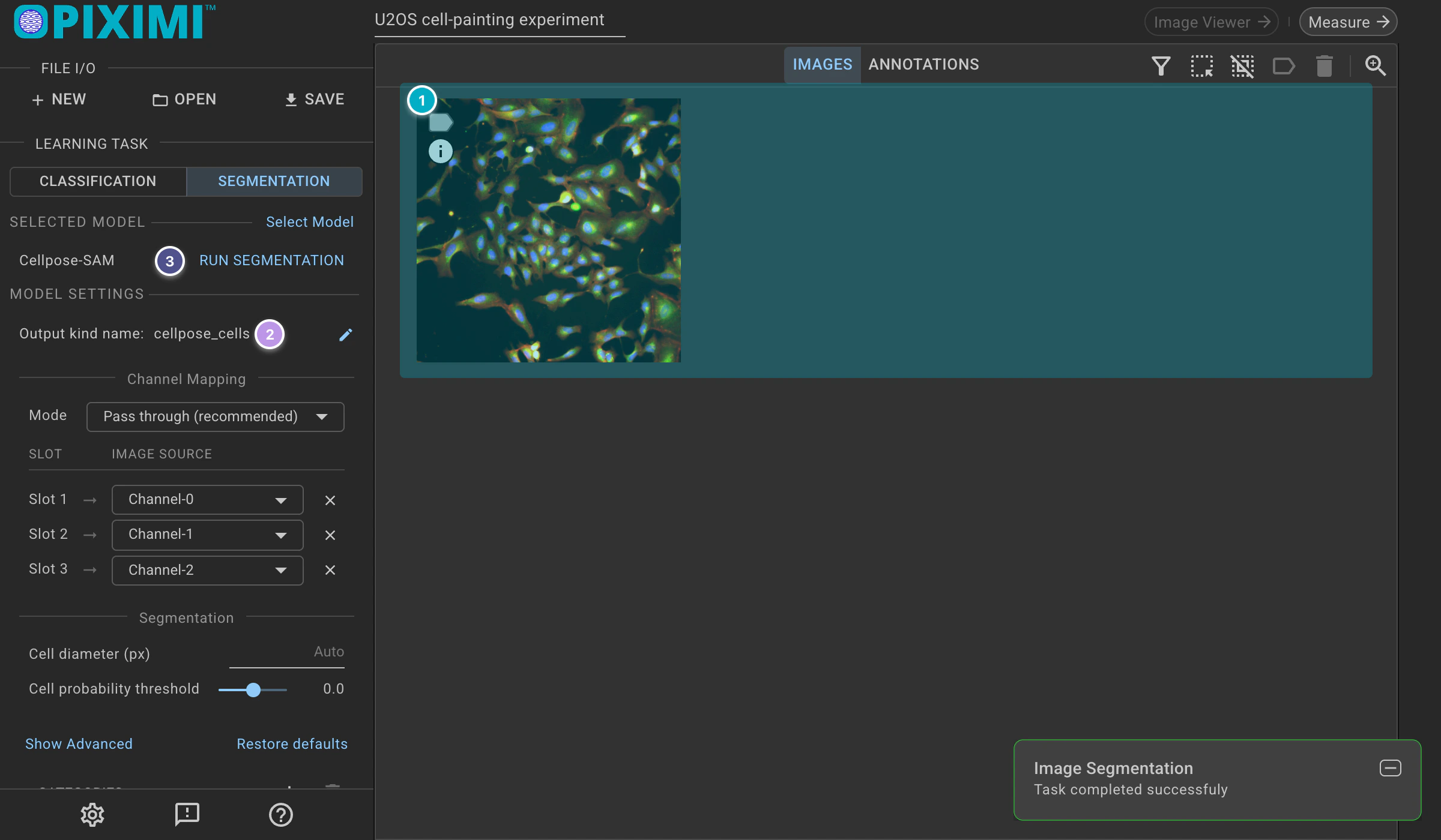 ../../_images/segmentation-tutorial-dark-run.webp