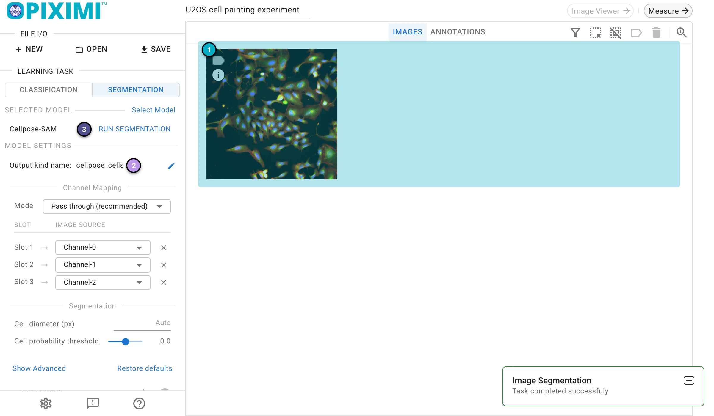 ../../_images/segmentation-tutorial-light-run.webp