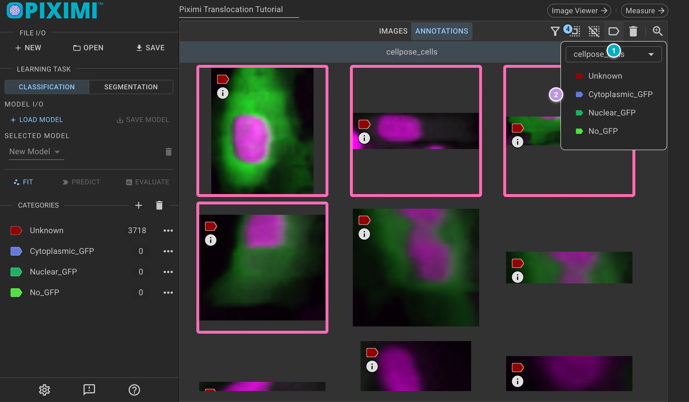 ../../_images/translocation-tutorial-dark-categorize.webp