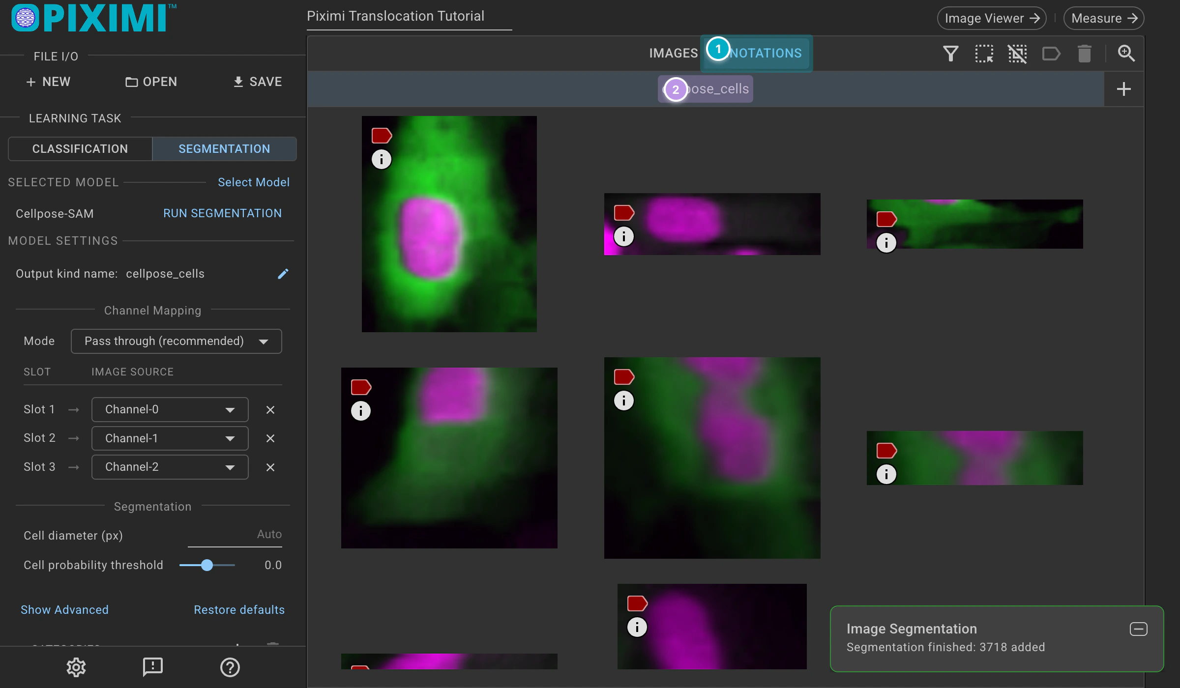 ../../_images/translocation-tutorial-dark-cellpose-cells.webp