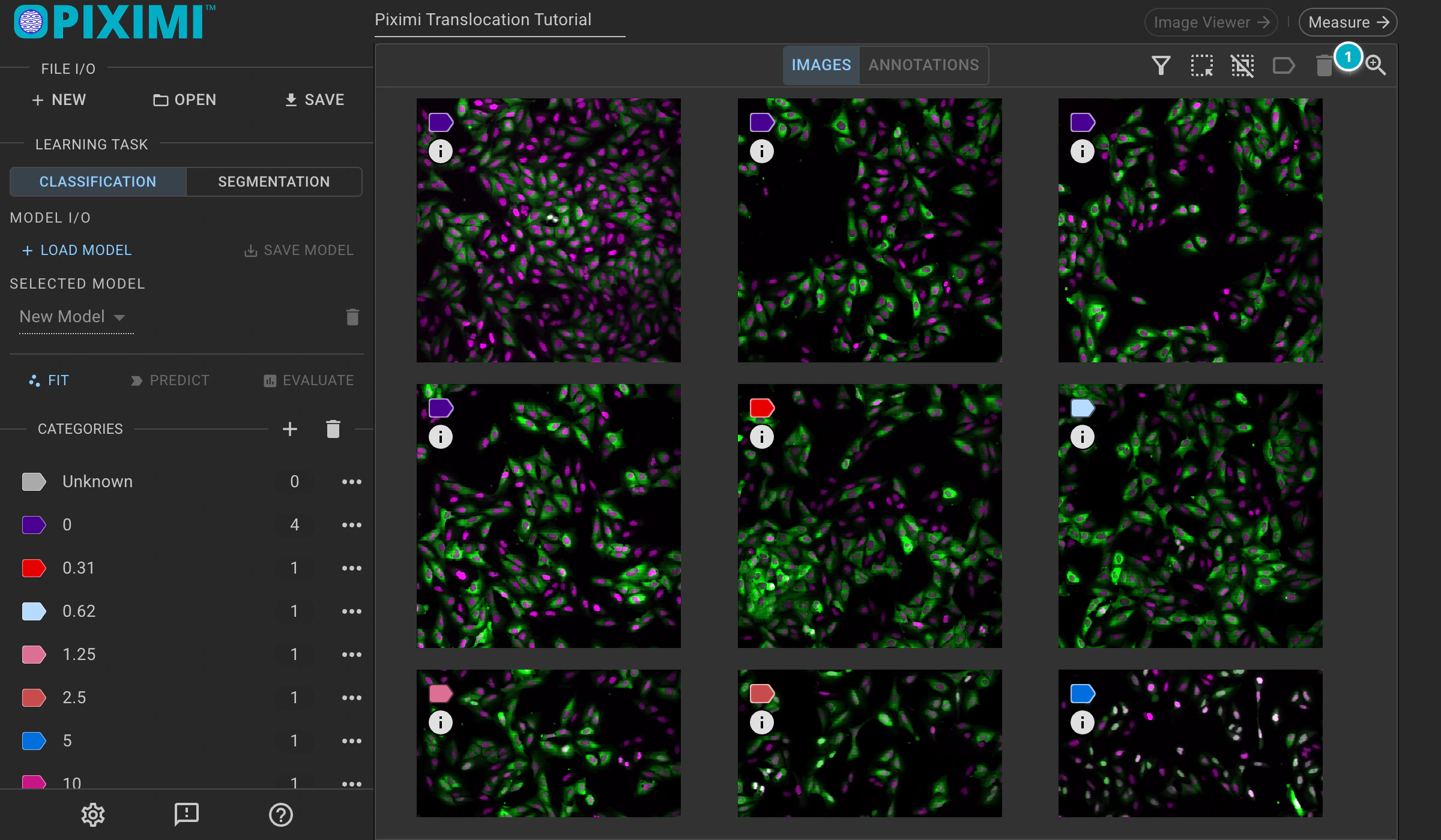 ../../_images/translocation-tutorial-dark-nav-measurements.webp