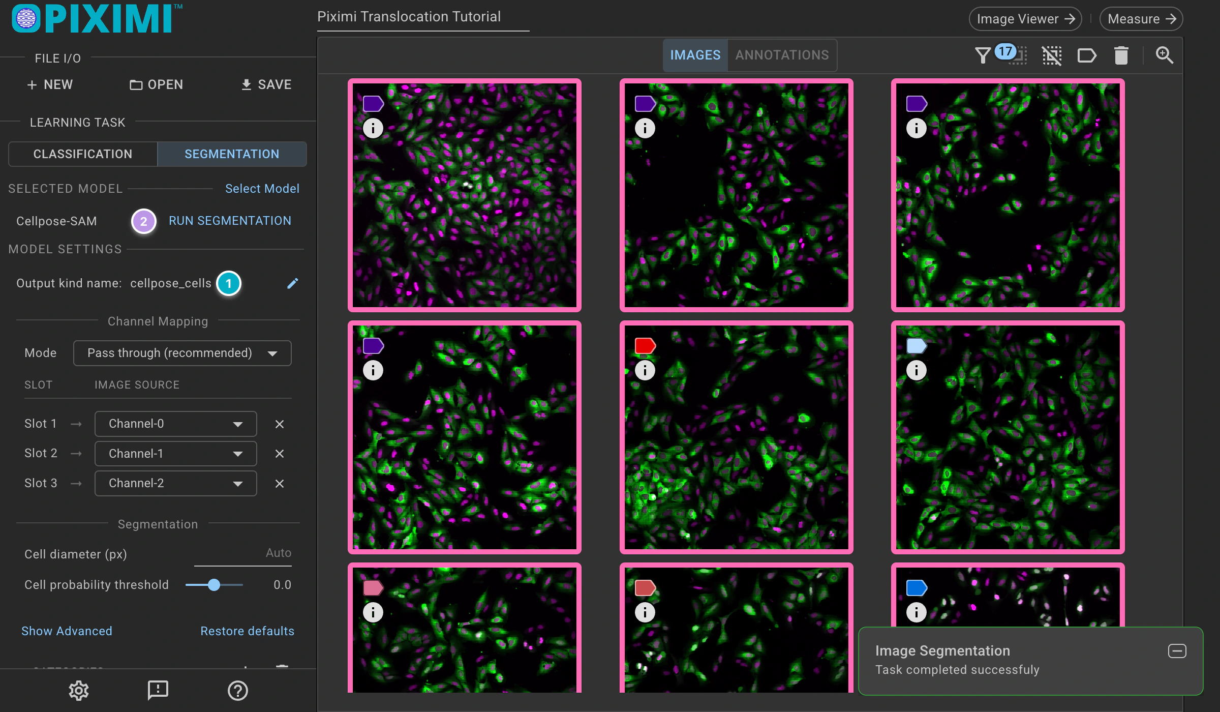 ../../_images/translocation-tutorial-dark-predict.webp