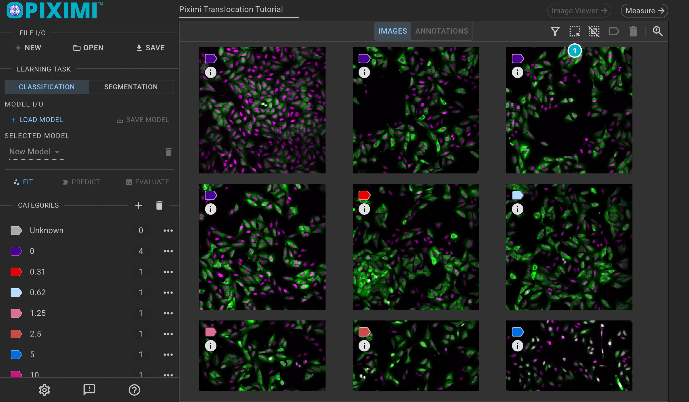 ../../_images/translocation-tutorial-dark-select-all.webp