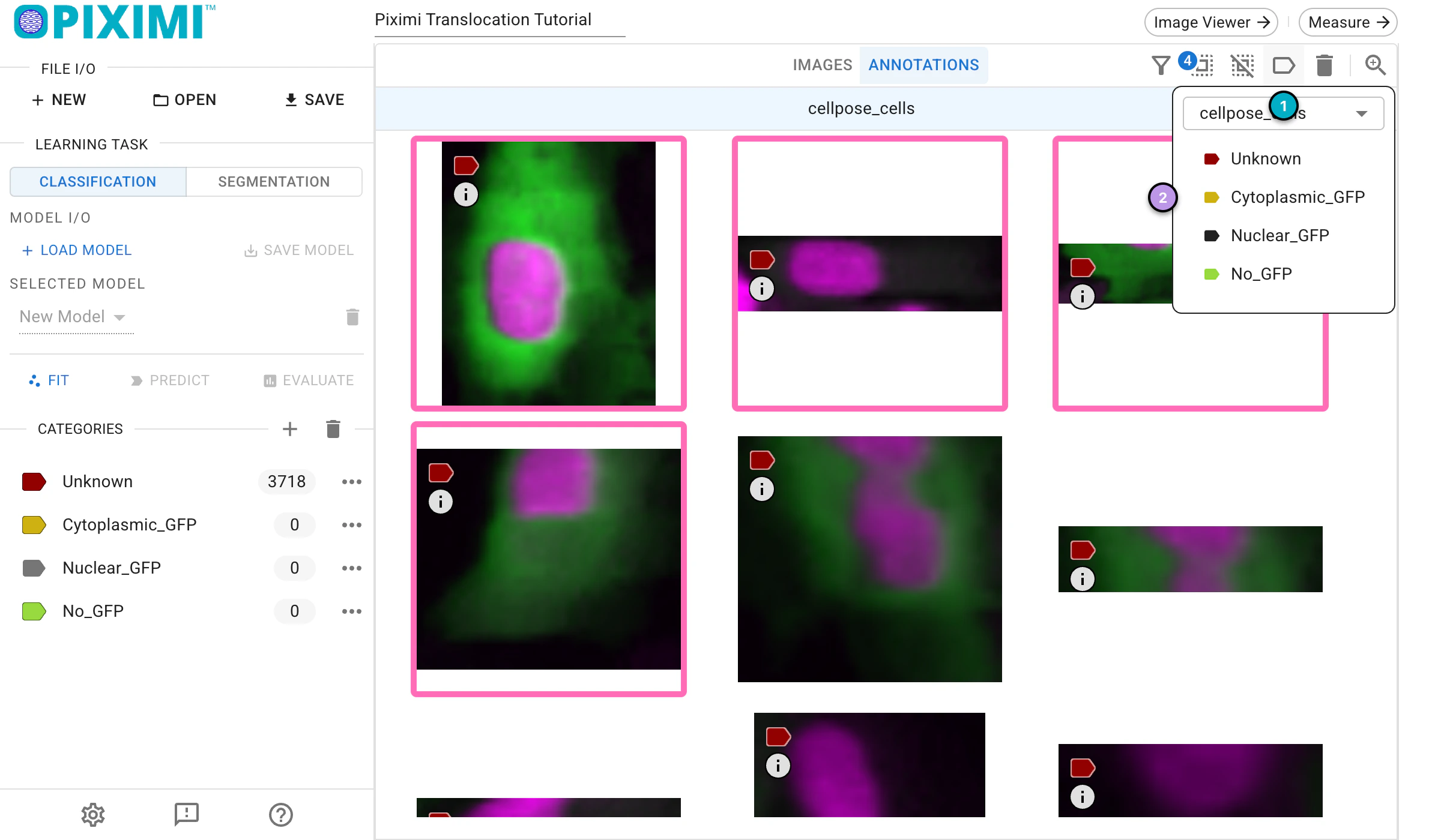 ../../_images/translocation-tutorial-light-categorize.webp