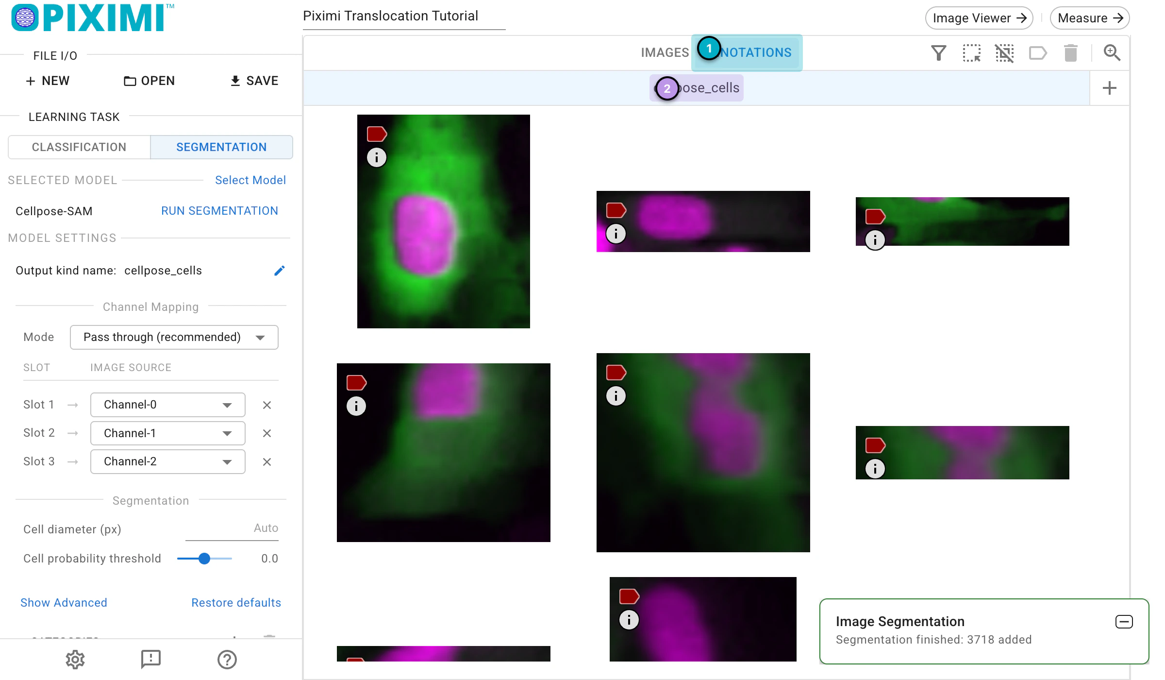 ../../_images/translocation-tutorial-light-cellpose-cells.webp