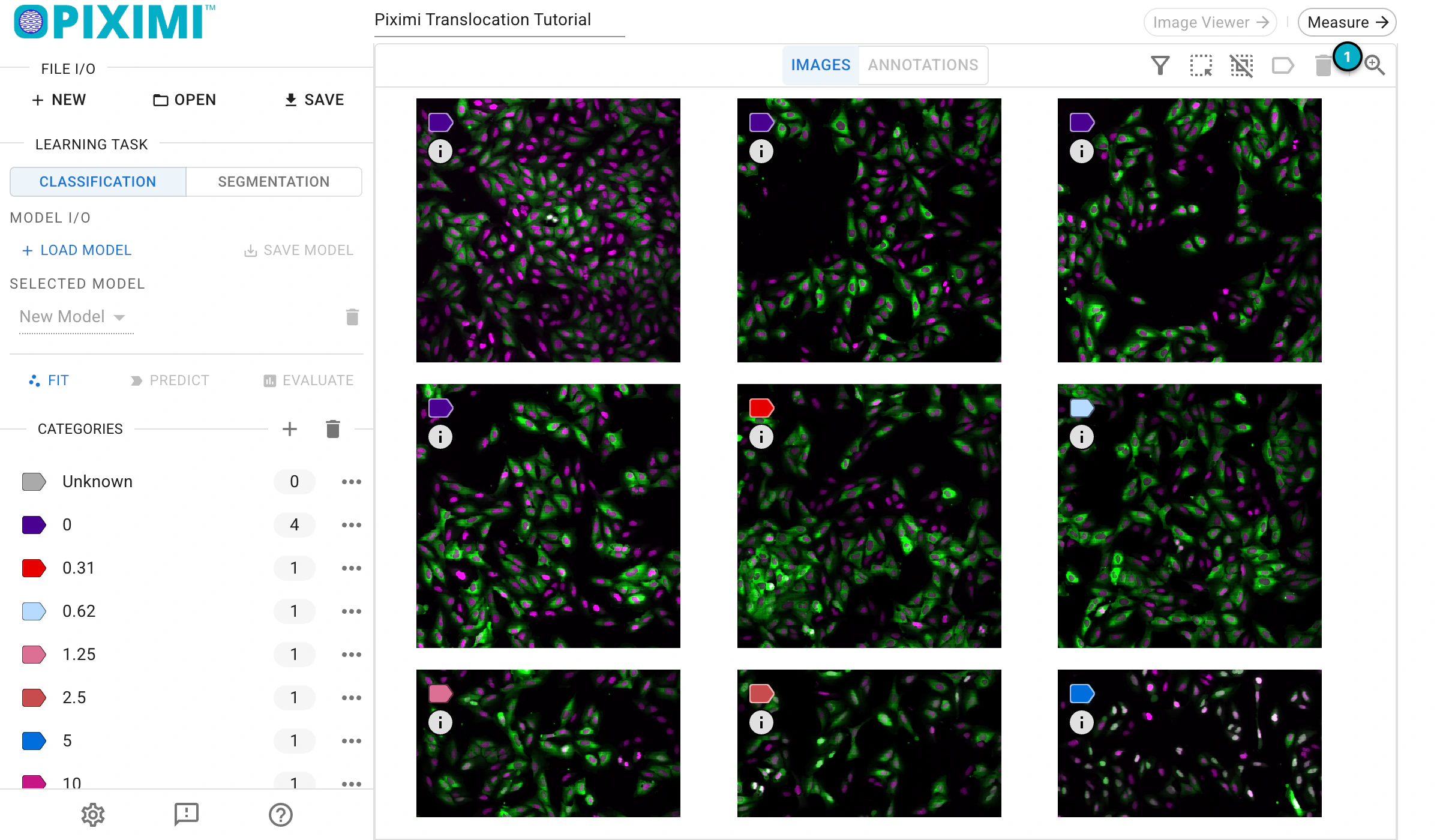 ../../_images/translocation-tutorial-light-nav-measurements.webp