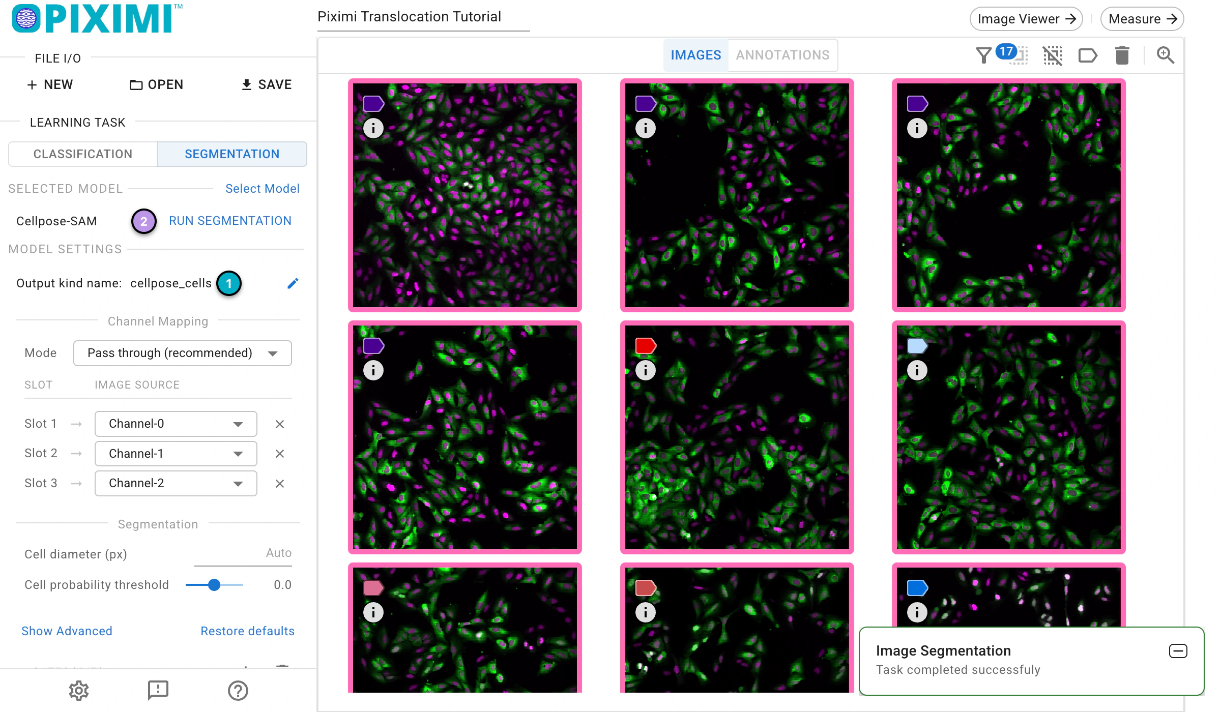 ../../_images/translocation-tutorial-light-predict.webp
